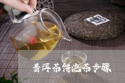 普洱茶饼泡茶步骤/2023040903948