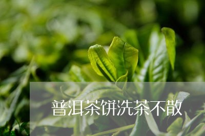 普洱茶饼洗茶不散/2023031662836