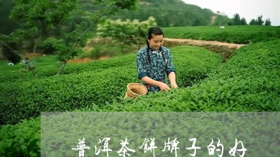 普洱茶饼牌子的好/2023031773817