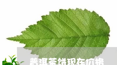 普洱茶饼现在价格/2023041079584