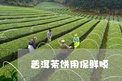 普洱茶饼用保鲜膜/2023033106051