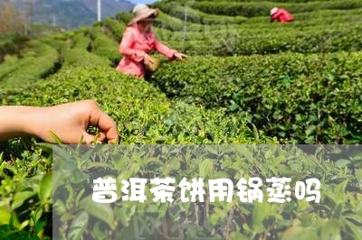 普洱茶饼用锅蒸吗/2023033170514