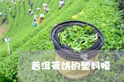 普洱茶饼的塑料膜/2023033170705