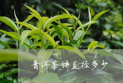 普洱茶饼直径多少/2023031625927