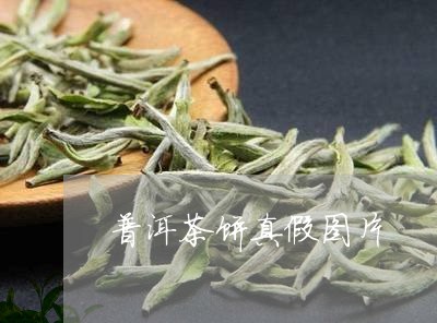 普洱茶饼真假图片/2023040184915