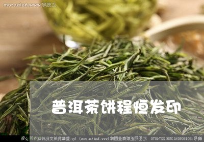 普洱茶饼程恒发印/2023033116282