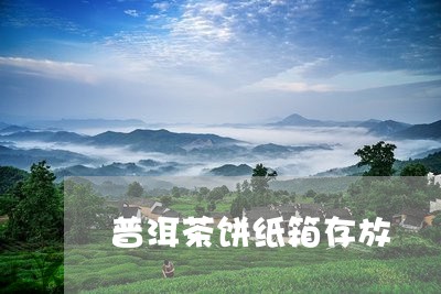 普洱茶饼纸箱存放/2023041015167