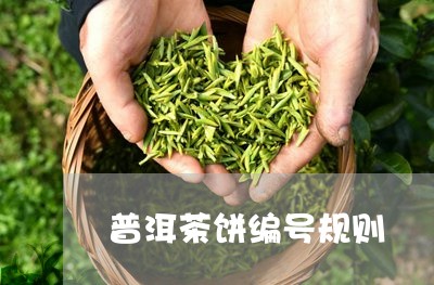 普洱茶饼编号规则/2023041074917