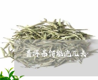 普洱茶饼能泡几天/2023031627168