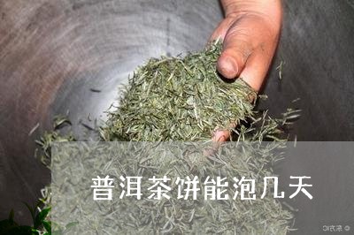 普洱茶饼能泡几天/2023041203035