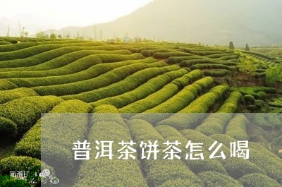 普洱茶饼茶怎么喝/2023041102181