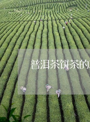 普洱茶饼茶的功效/2023041107269