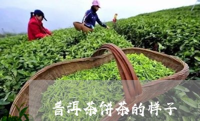 普洱茶饼茶的样子/2023041156269