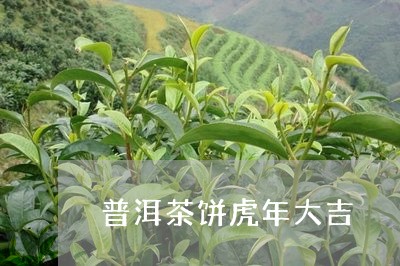 普洱茶饼虎年大吉/2023041184047