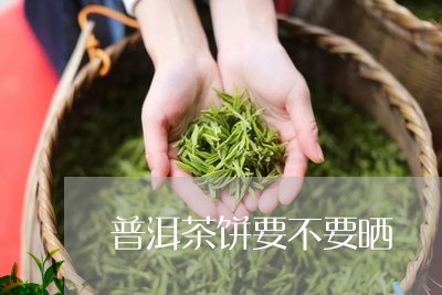 普洱茶饼要不要晒/2023033031803