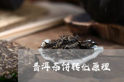 普洱茶饼转化原理/2023041094937