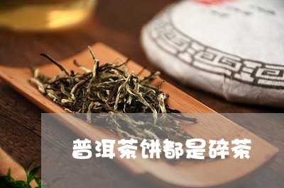 普洱茶饼都是碎茶/2023041310525