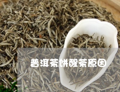 普洱茶饼醒茶原因/2023031642724