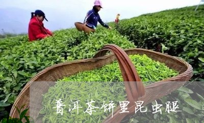 普洱茶饼里昆虫腿/2023031721492