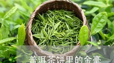 普洱茶饼里的金毫/2023033081615