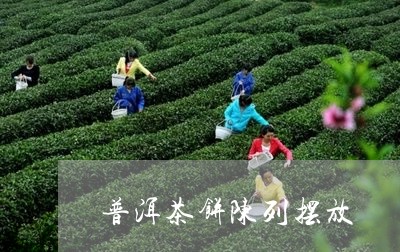 普洱茶饼陈列摆放/2023041053716