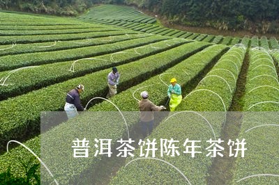 普洱茶饼陈年茶饼/2023041135048