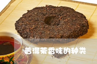 普洱茶香味的种类/2023041216350