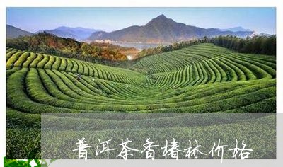 普洱茶香椿林价格/2023040948704