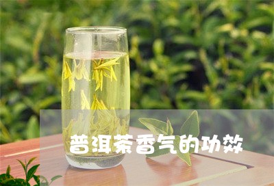 普洱茶香气的功效/2023041048804