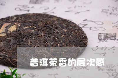 普洱茶香的层次感/2023033116148