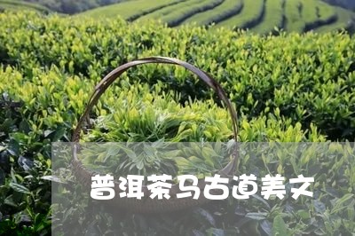 普洱茶马古道美文/2023040941583