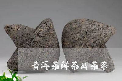 普洱茶鲜茶出茶率/2023041174072