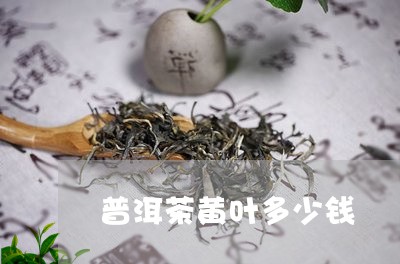 普洱茶黄叶多少钱/2023031754946