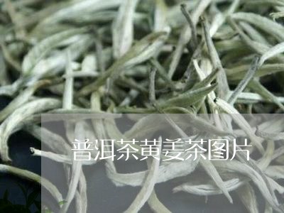 普洱茶黄姜茶图片/2023031748370