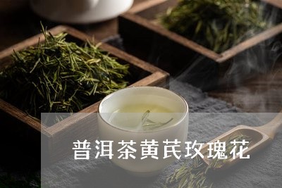 普洱茶黄芪玫瑰花/2023040136404