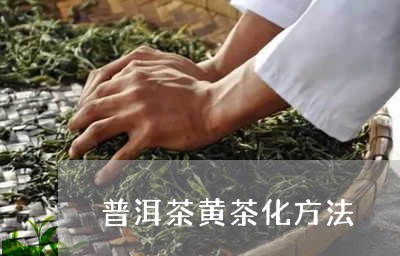 普洱茶黄茶化方法/2023041167281