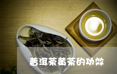 普洱茶黄茶的功效/2023031609294