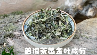 普洱茶黄金叶成分/2023031789606