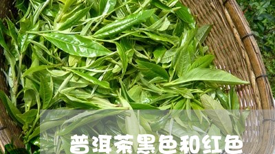 普洱茶黑色和红色/2023031725258