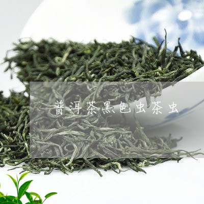 普洱茶黑色虫茶虫/2023031692859