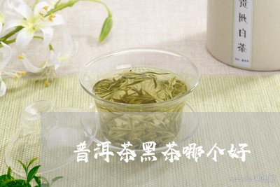 普洱茶黑茶哪个好/2023041321593