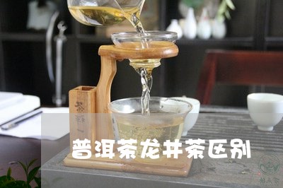 普洱茶龙井茶区别/2023041182148