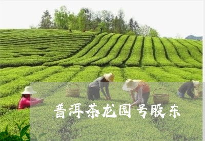 普洱茶龙园号股东/2023040982947