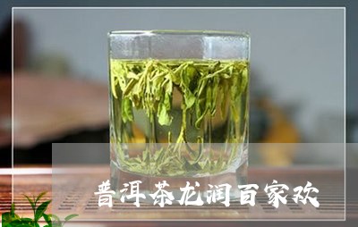 普洱茶龙润百家欢/2023033090512