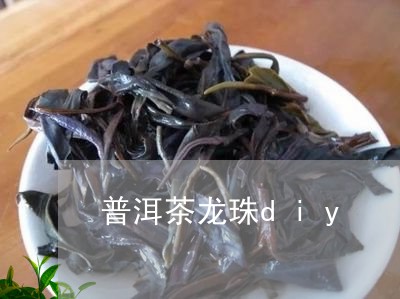 普洱茶龙珠diy/2023031629381