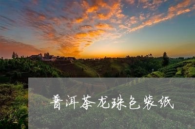 普洱茶龙珠包装纸/2023040157281