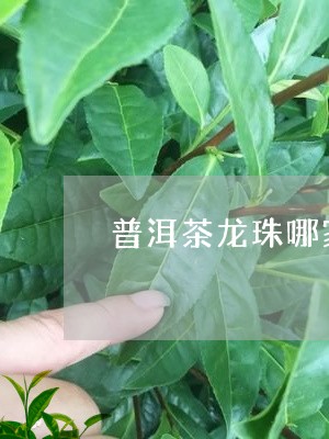 普洱茶龙珠哪家好/2023041038469