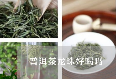 普洱茶龙珠好喝吗/2023031747493