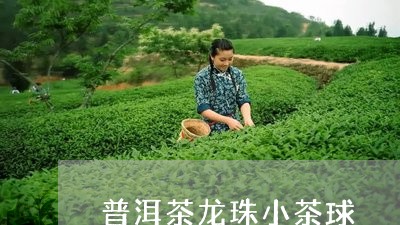 普洱茶龙珠小茶球/2023031707483