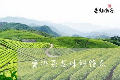 普洱茶龙珠的特点/2023031700491